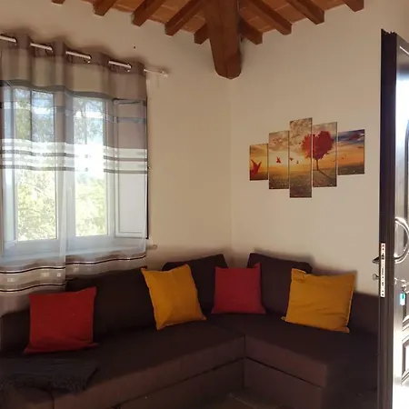 Vicus House *