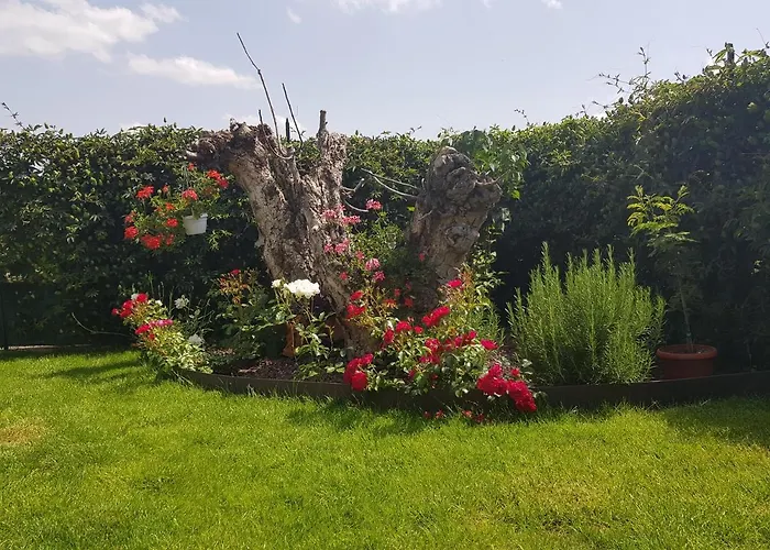 Vicus House 度假居 维西奥玛吉欧